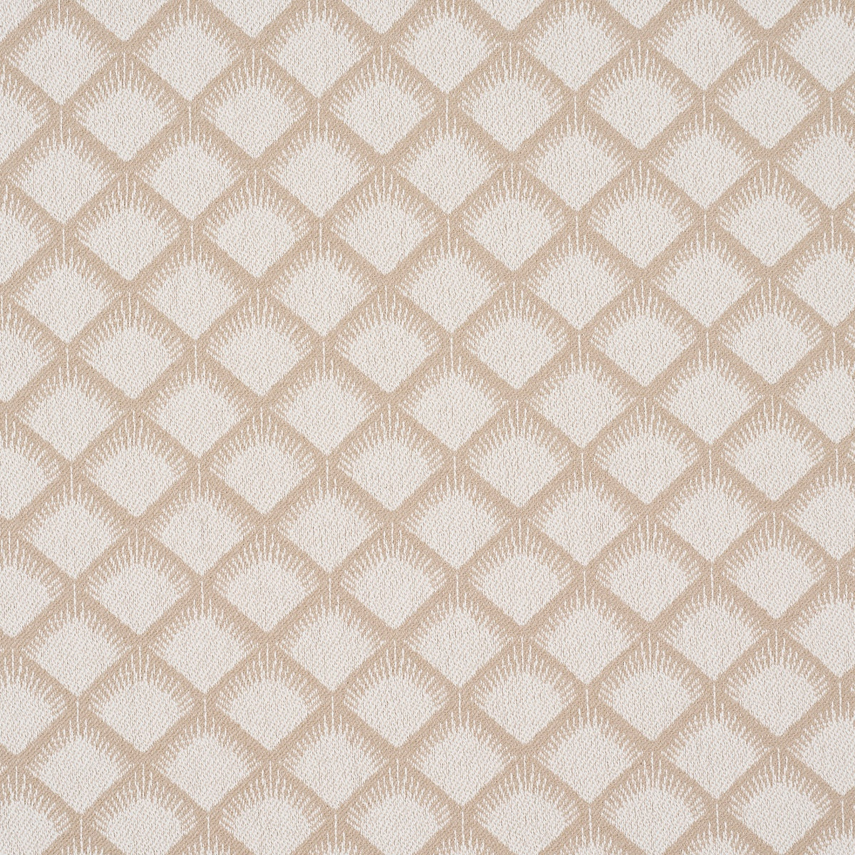 MAIZE | Ivory