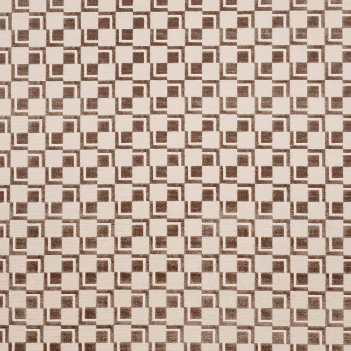 EDISON VELVET | Champagne