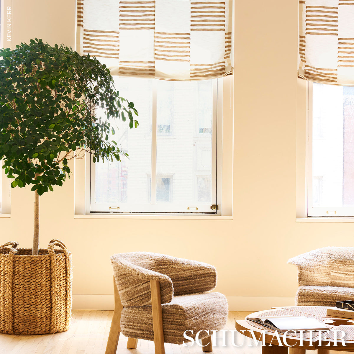 BRYCE SHEER | Maple