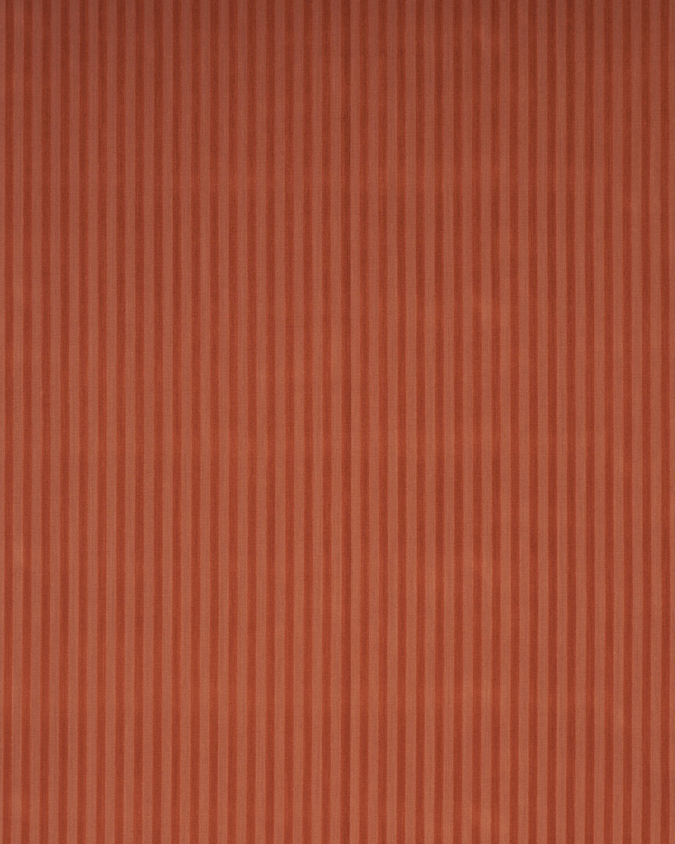 PIPE ILLUSION | Papaya
