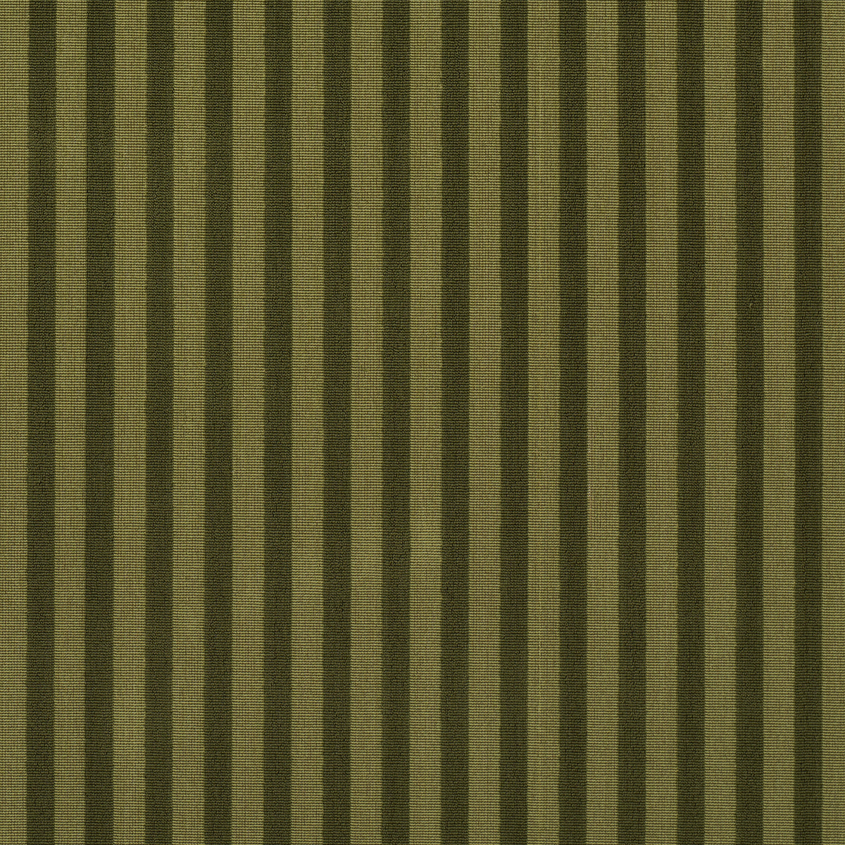 PIPE ILLUSION | Moss