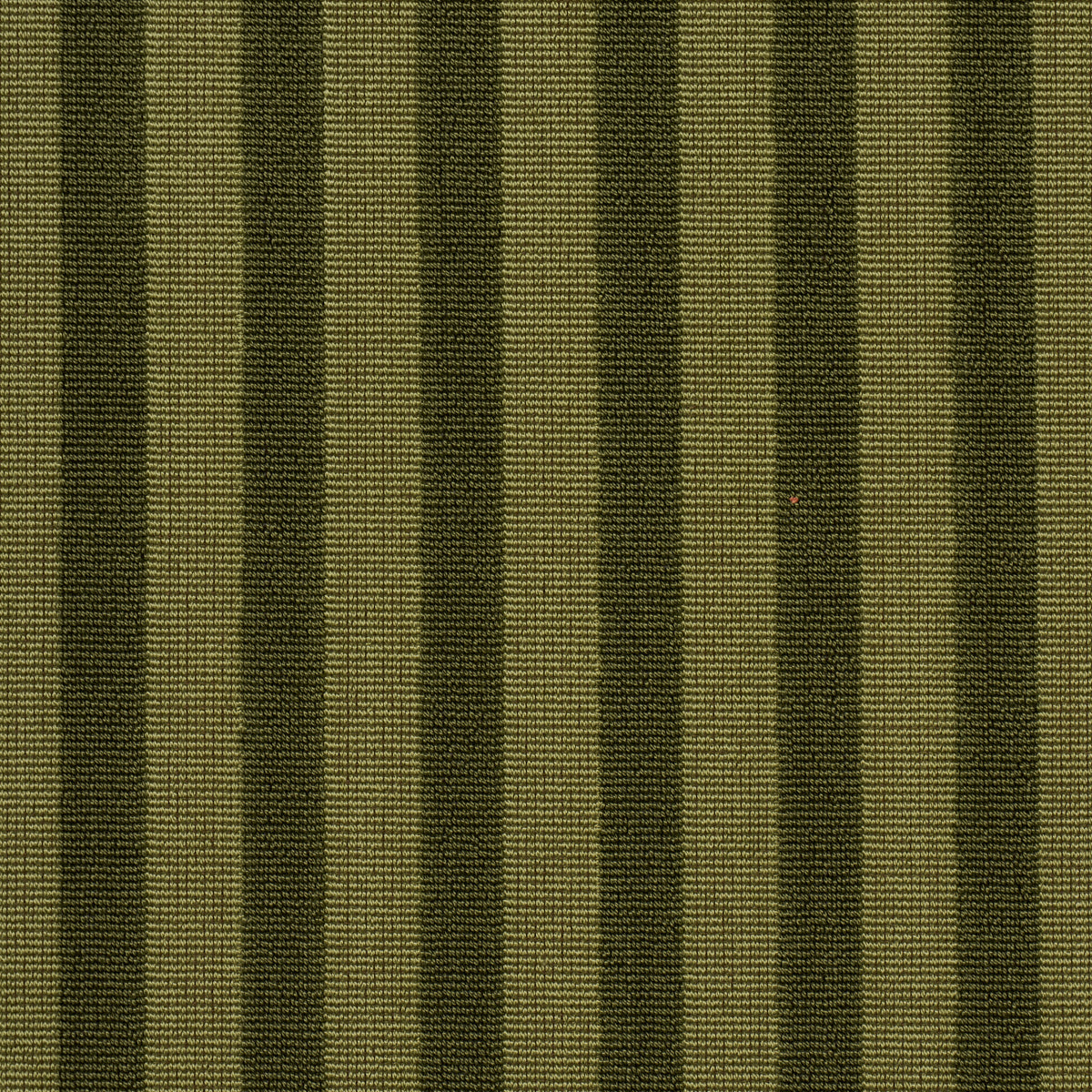 PIPE ILLUSION | Moss