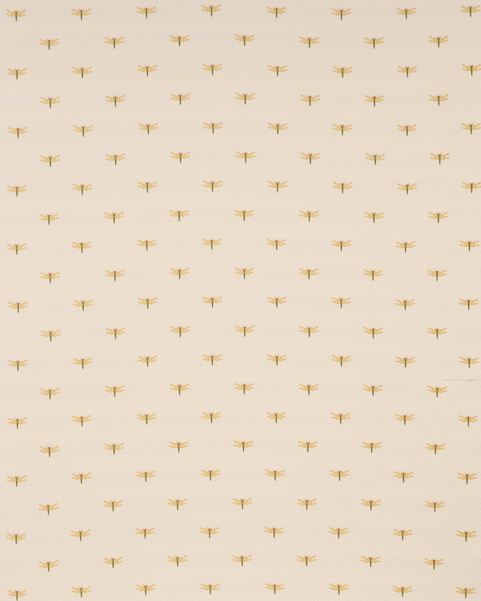 DRAGONFLIES | Ochre