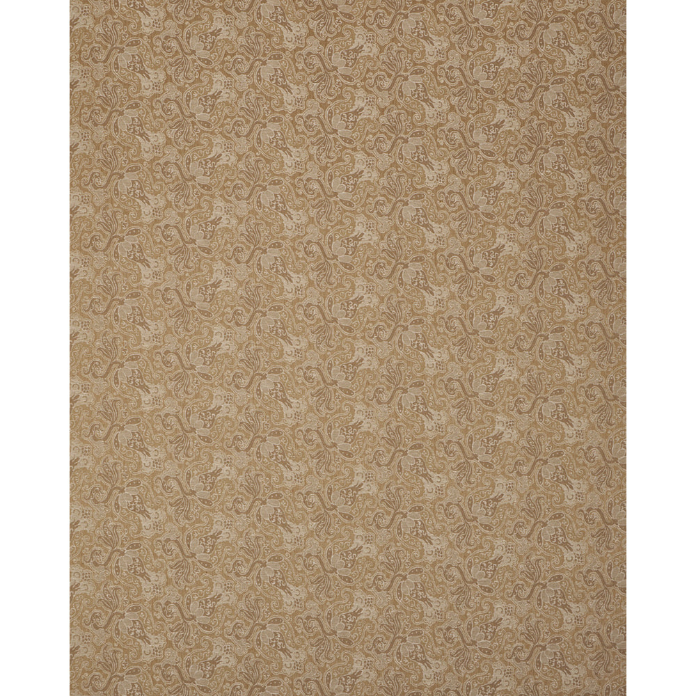 TULIPANO | Caramel