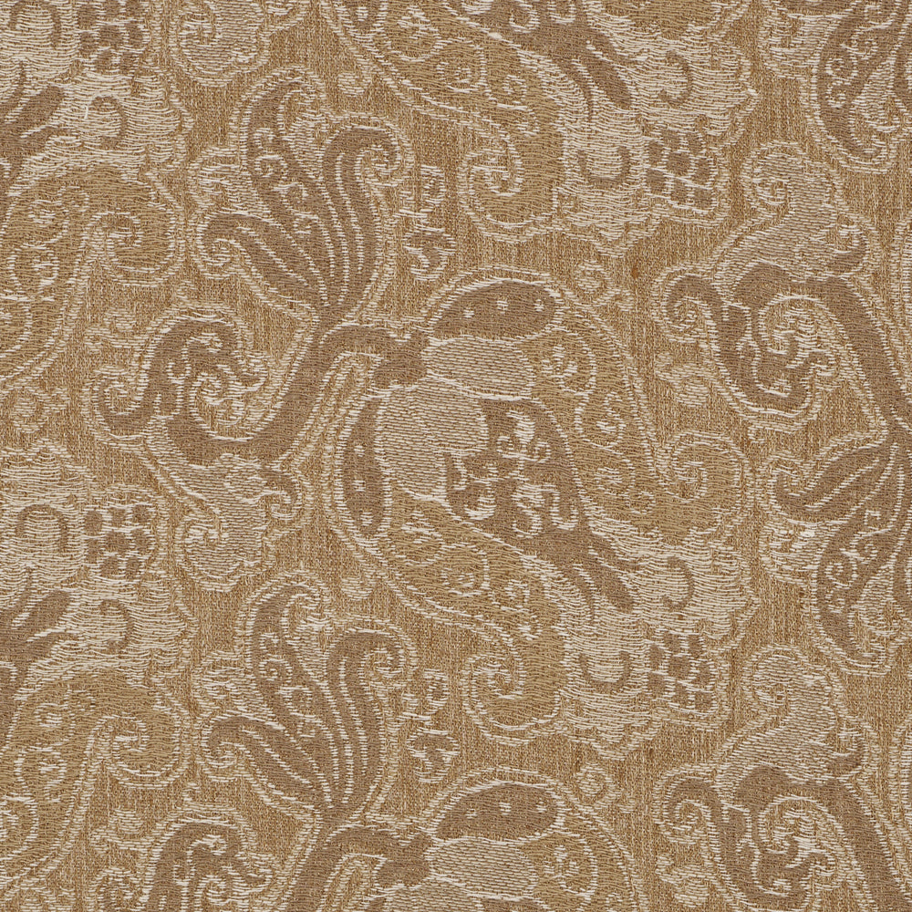 TULIPANO | Caramel