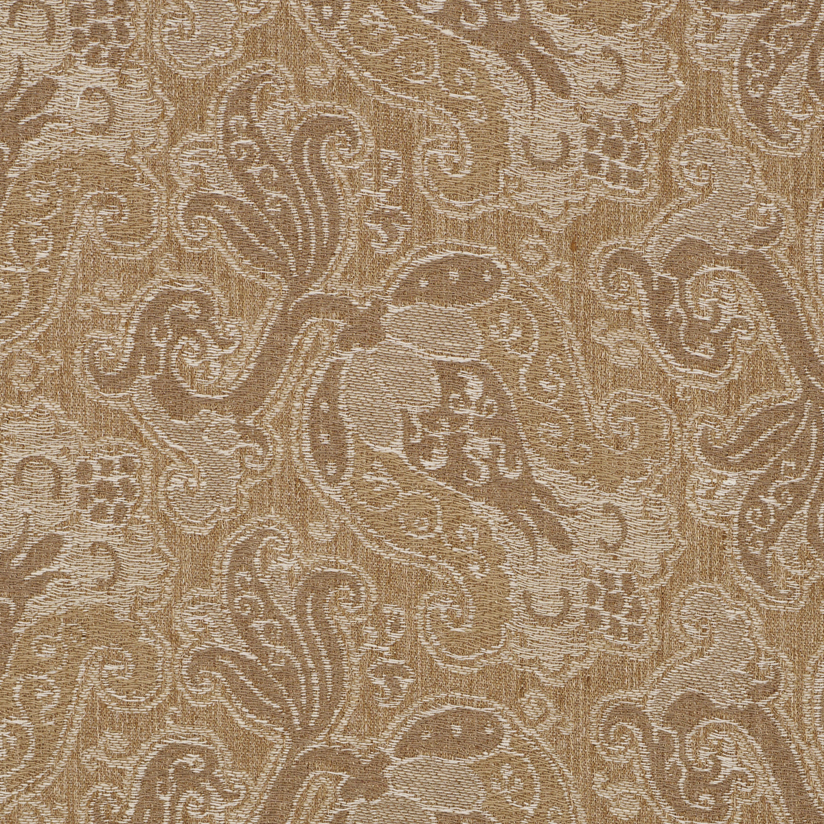 TULIPANO | Caramel