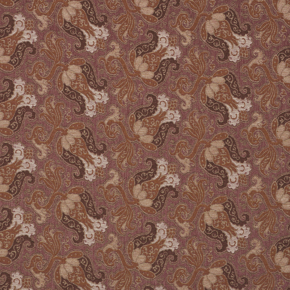 TULIPANO | Orchid