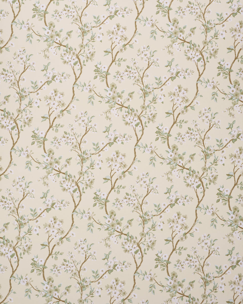 CHERRY BLOSSOM | Citron