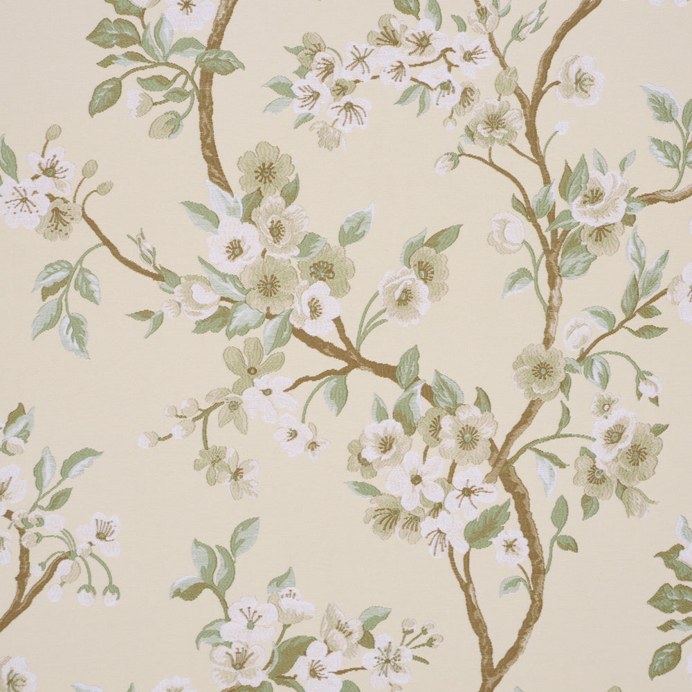 CHERRY BLOSSOM | Citron