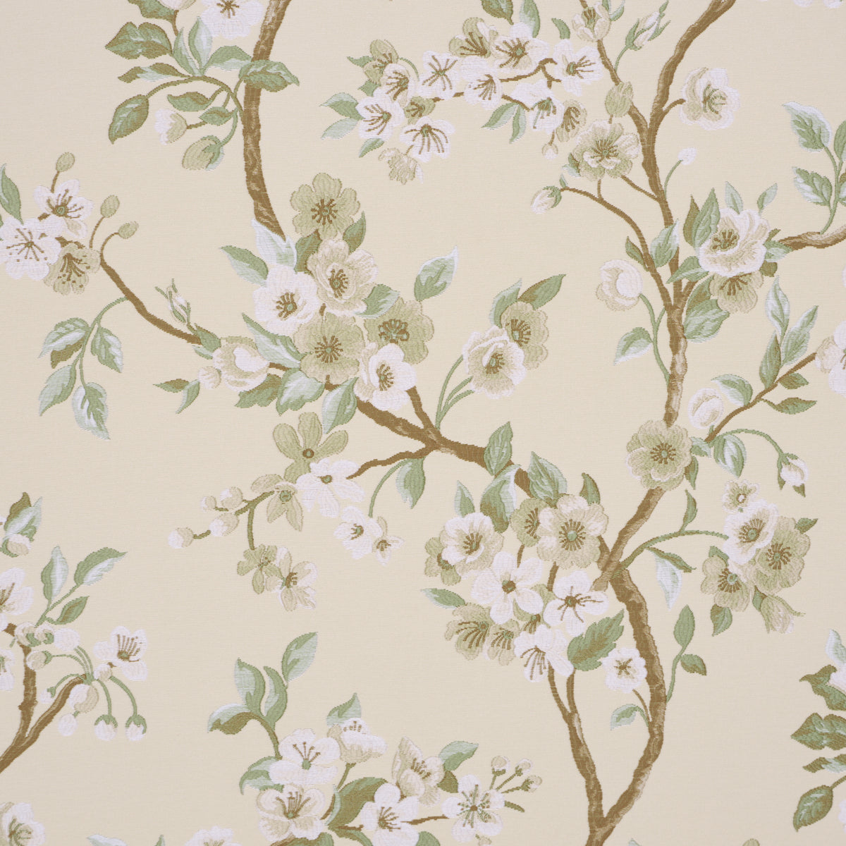 CHERRY BLOSSOM | Citron