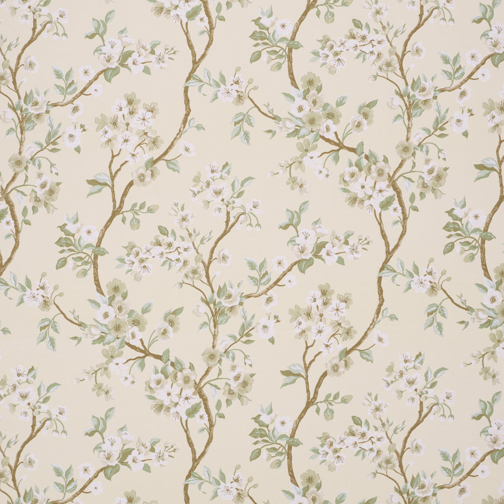 CHERRY BLOSSOM | Citron