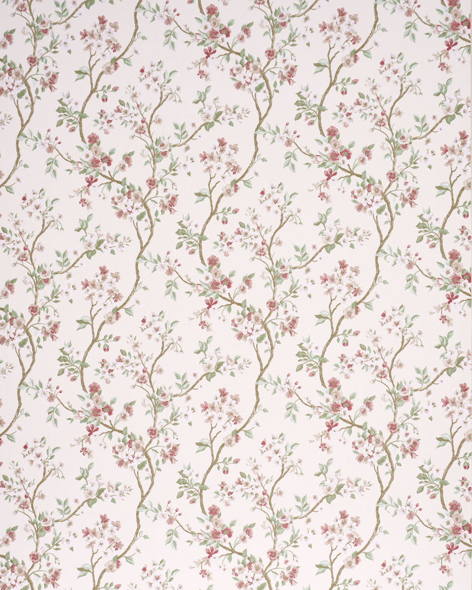 CHERRY BLOSSOM | Cherry
