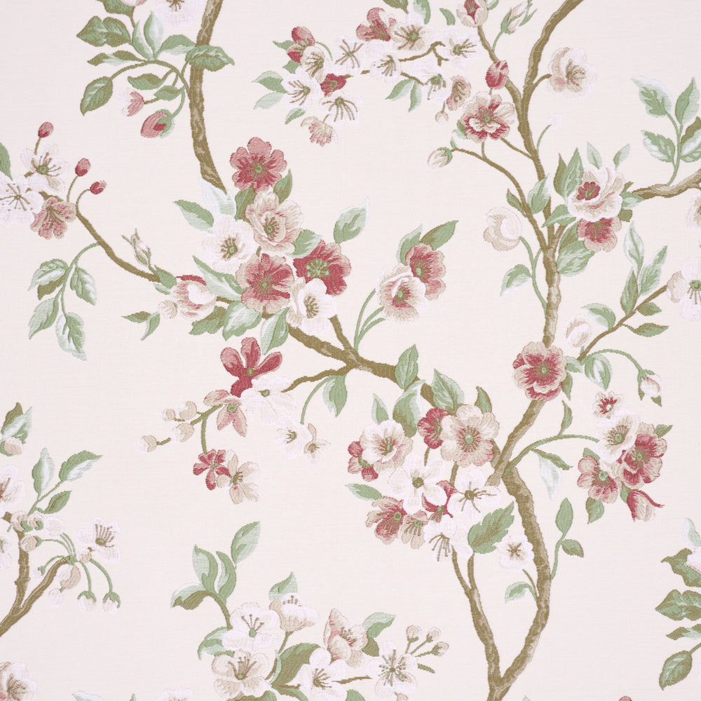 CHERRY BLOSSOM | Cherry