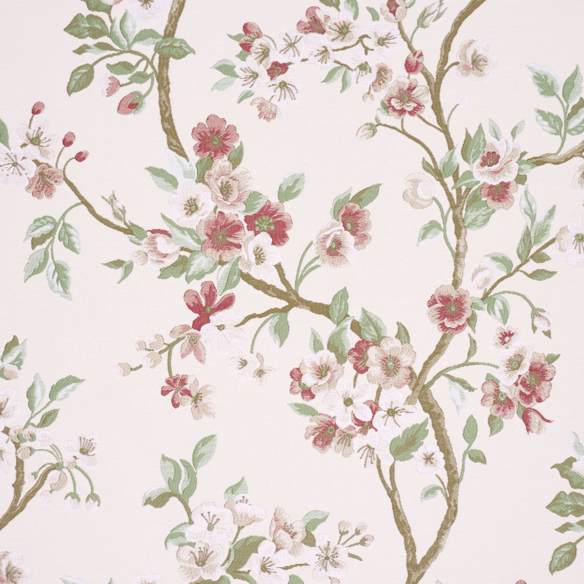 CHERRY BLOSSOM | Cherry