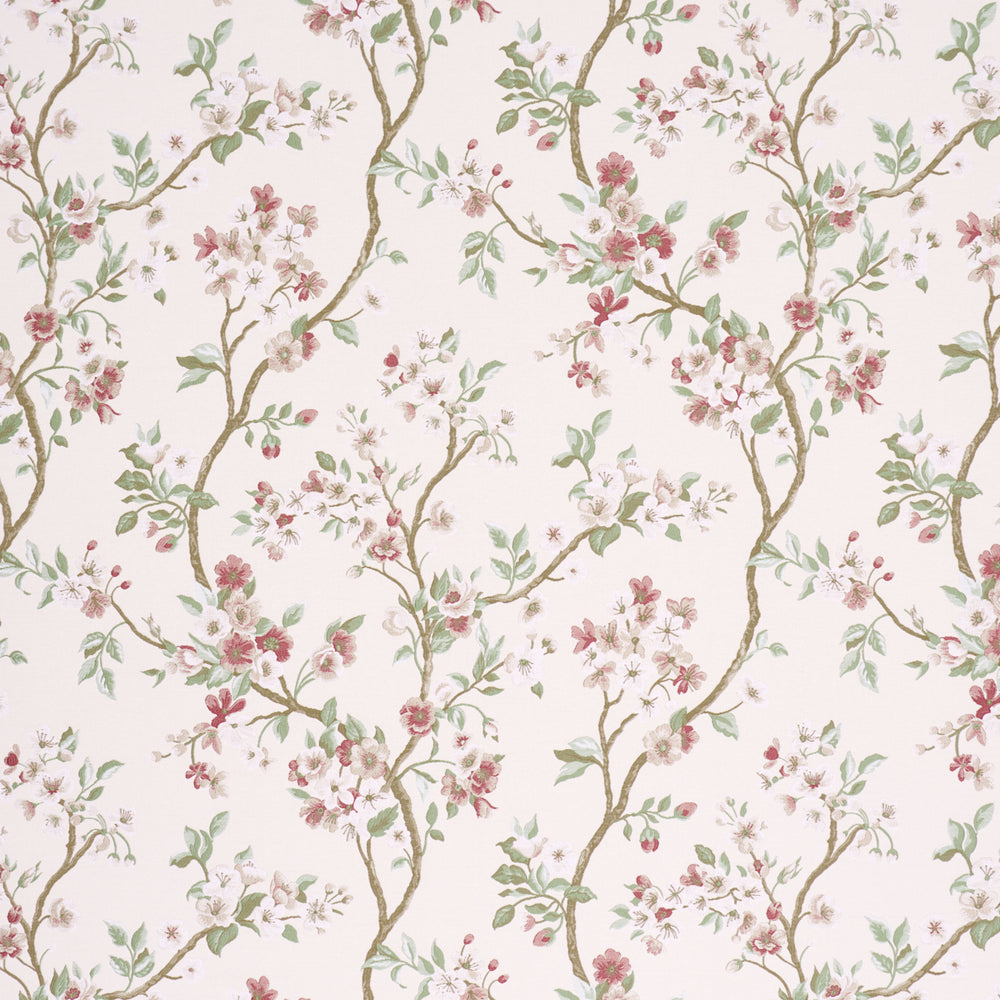 CHERRY BLOSSOM | Cherry