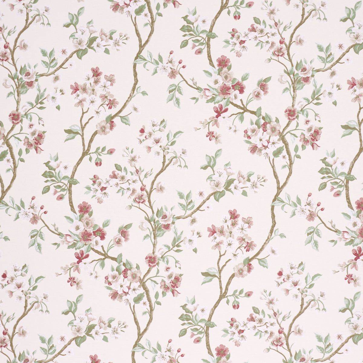 CHERRY BLOSSOM | Cherry