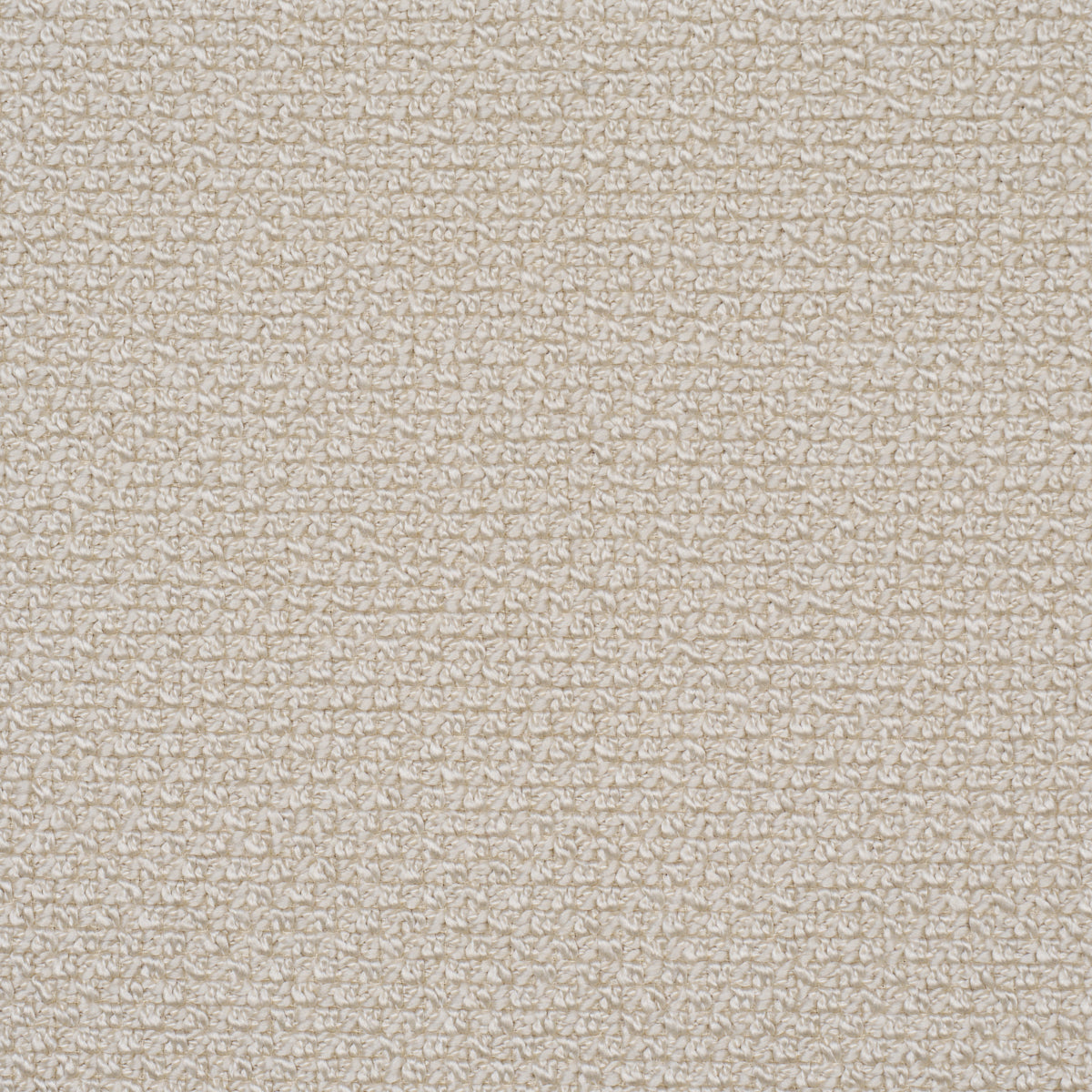 RAYE PERFORMANCE | Oat