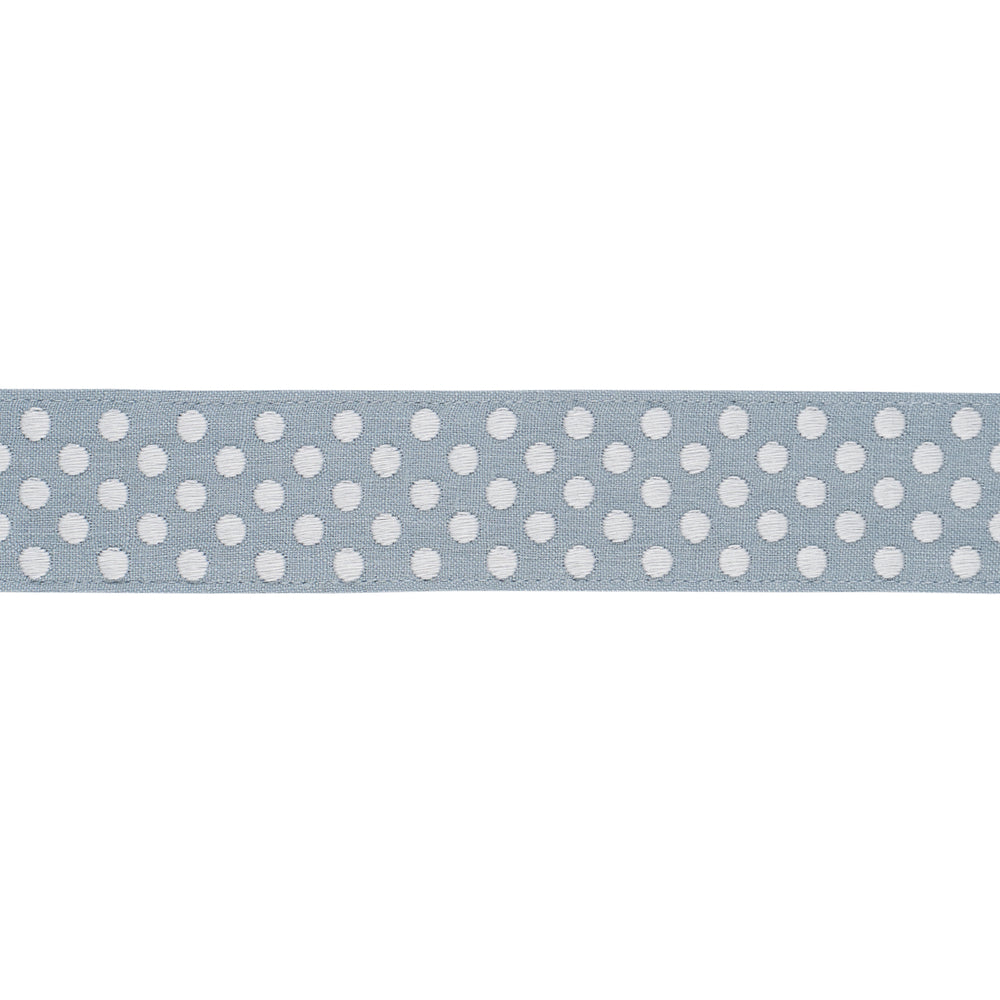 DOTTED EMBROIDERED TAPE | Sky
