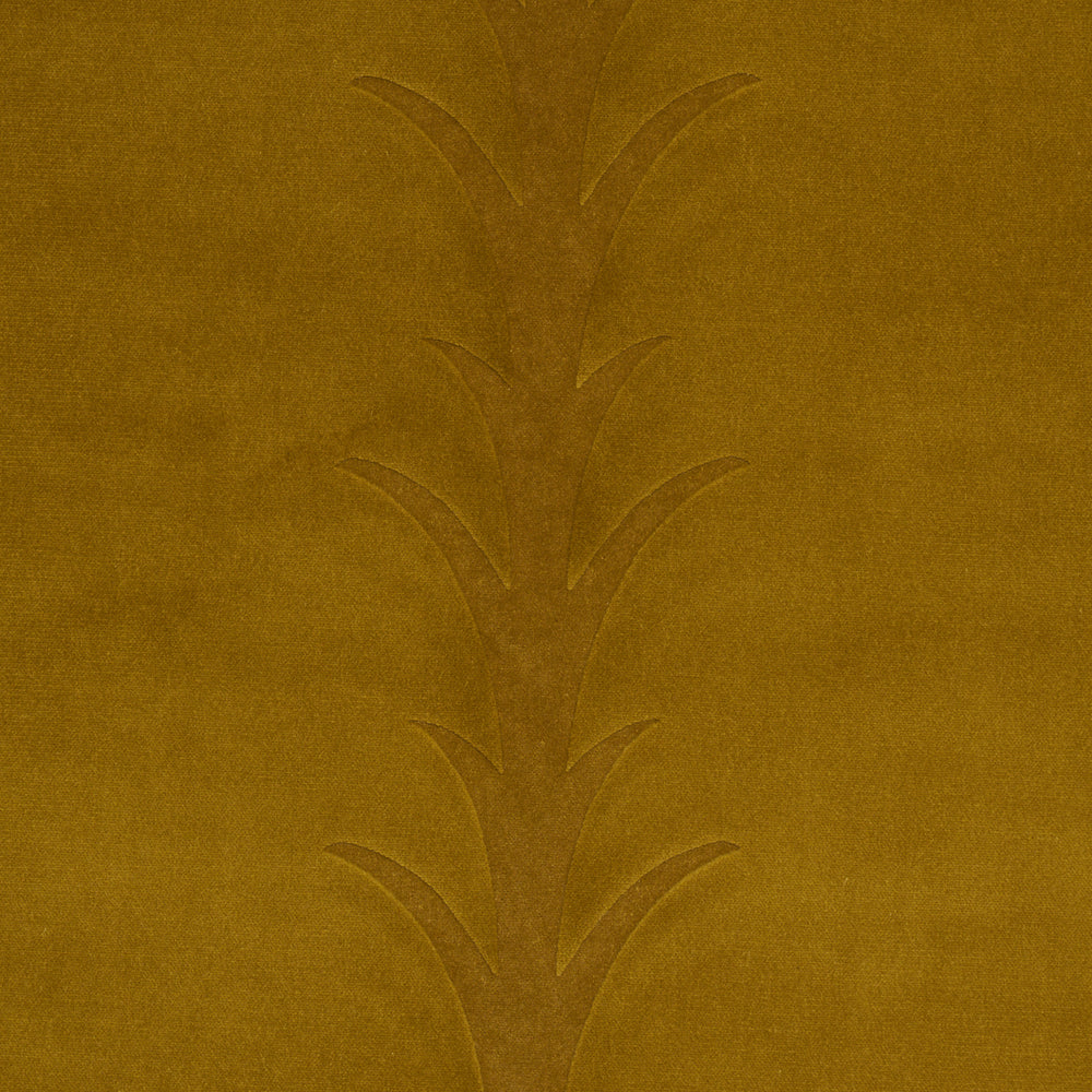 ACANTHUS STRIPE VELVET | Olive