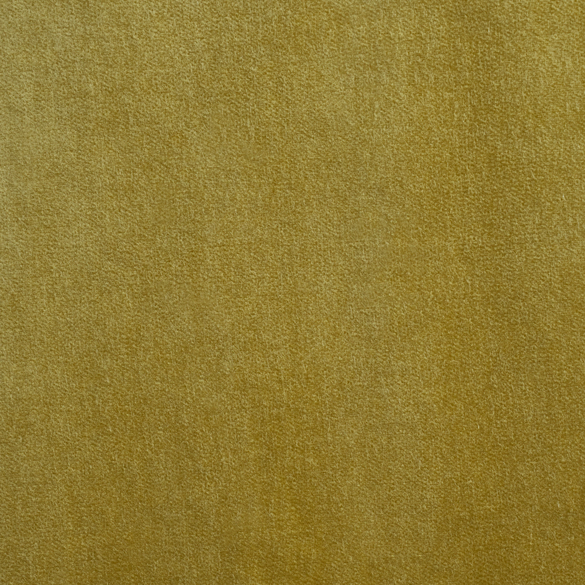 ROCKY PERFORMANCE VELVET | Celery