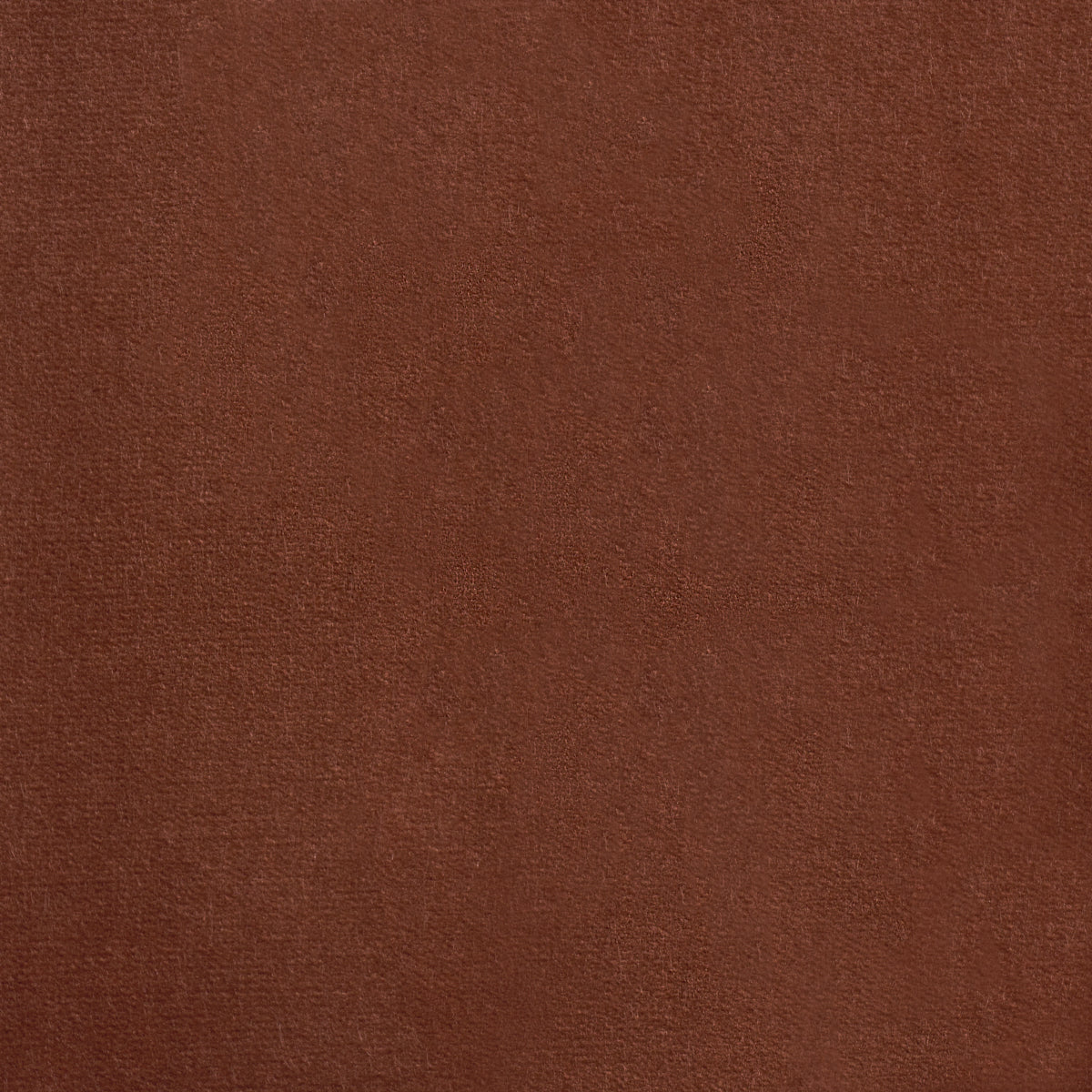 ROCKY PERFORMANCE VELVET | Terracotta