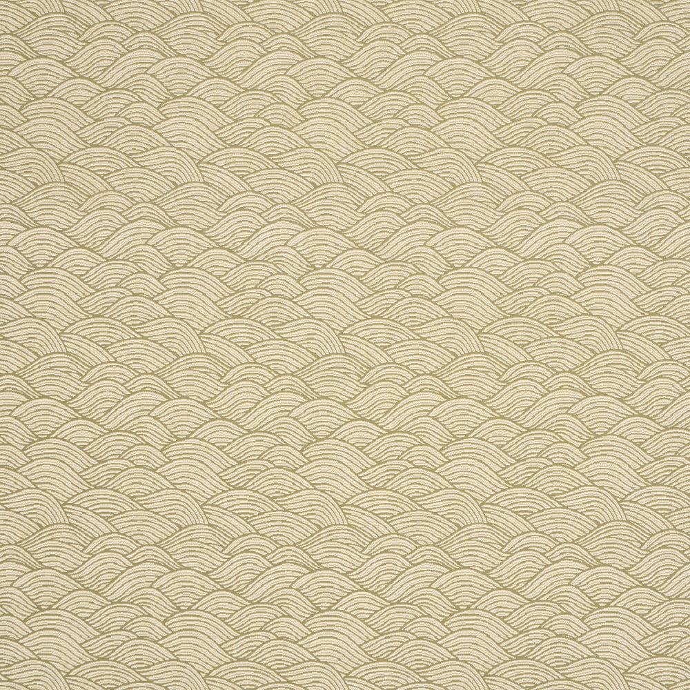 SYMPHONY SCALLOP | Olive