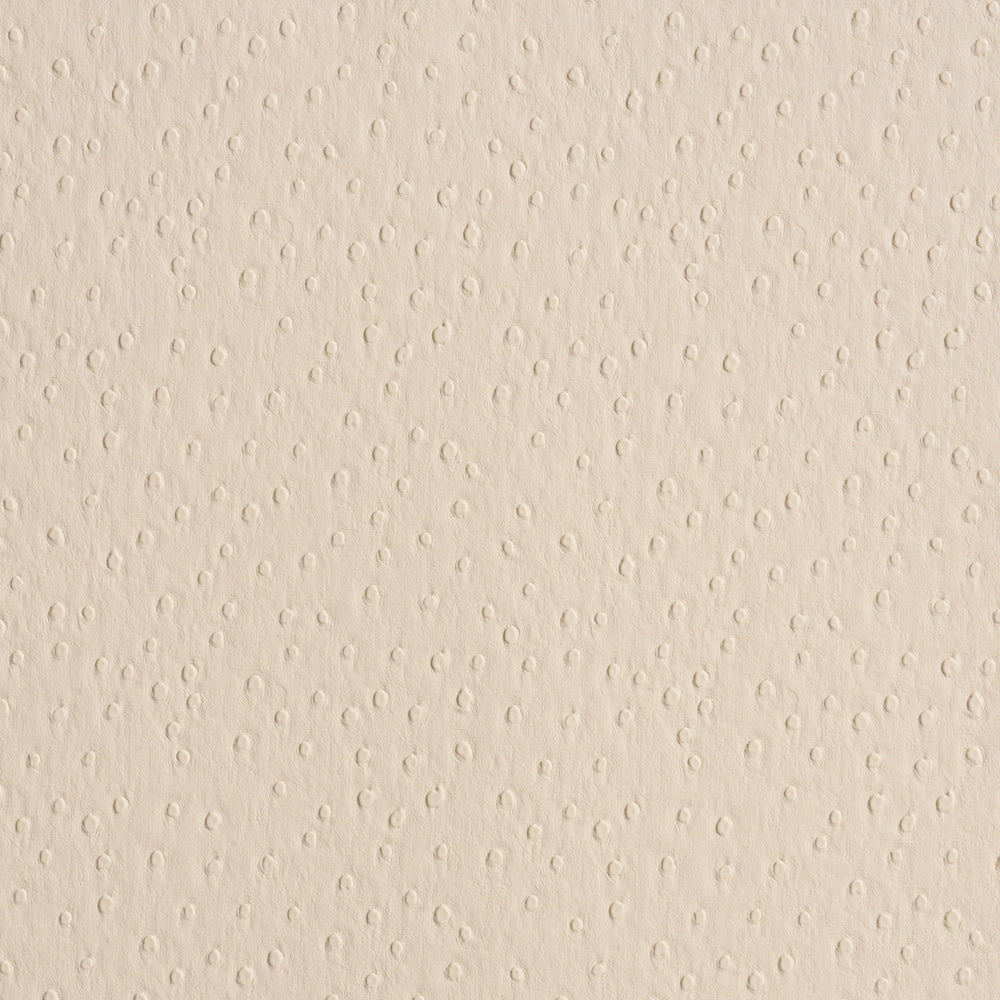 OSTRICH VEGAN LEATHER | Cream