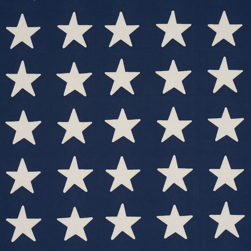 Starfield Appliqué | Navy