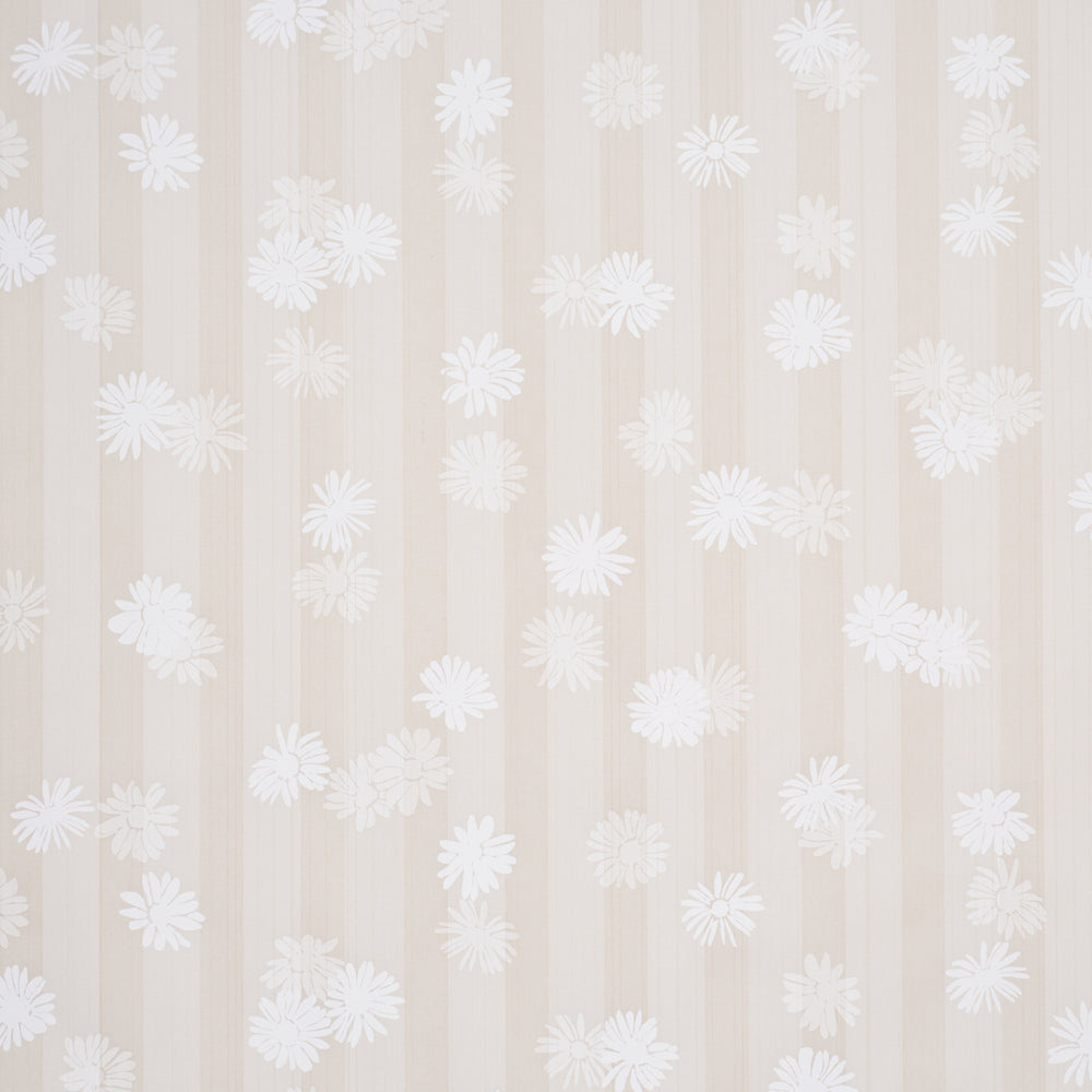 Jackie's Daisy | Stone