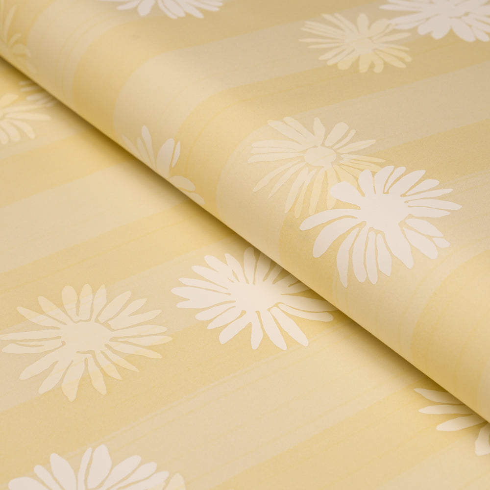 Jackie's Daisy | Buttercup