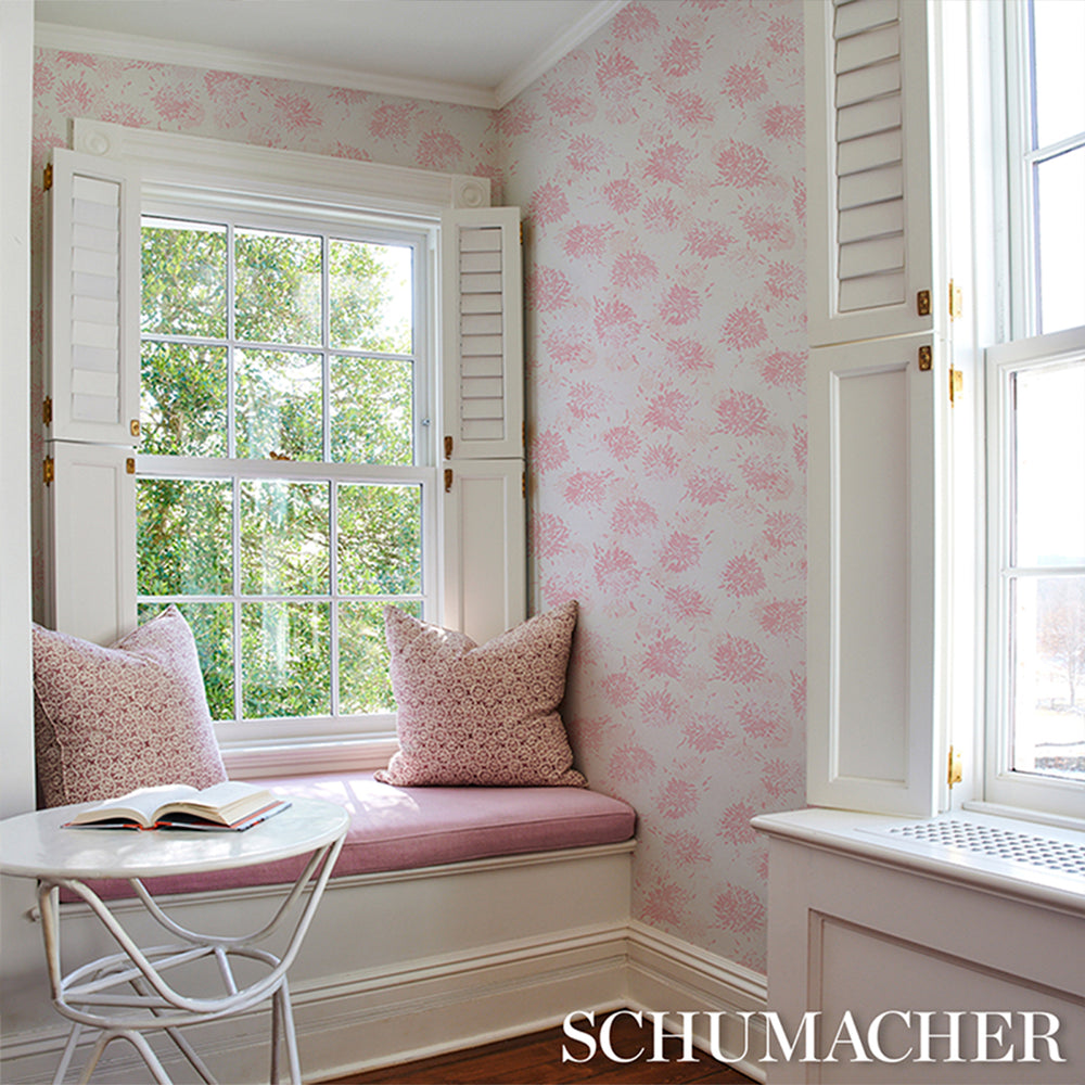 CHRYSANTHEMUM BY TILLETT | Pinky
