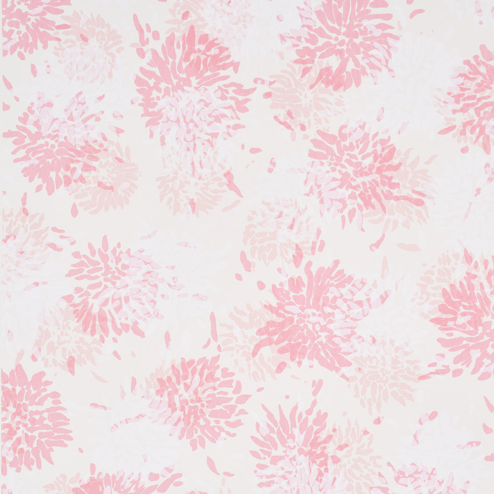 CHRYSANTHEMUM BY TILLETT | Pinky
