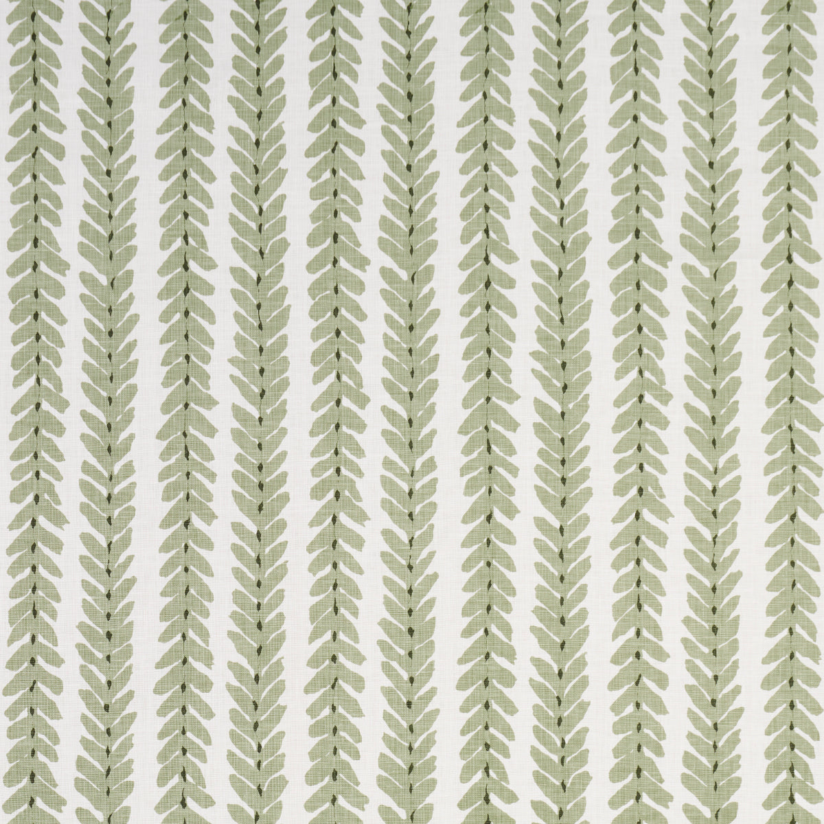 WOODPERRY | Moss